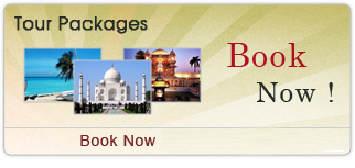 Tour Packages From Delhi